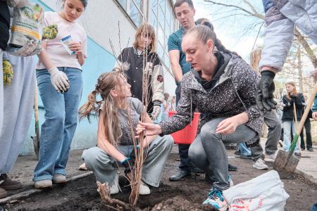 Пионерская аллея зацвела в Красноярске
