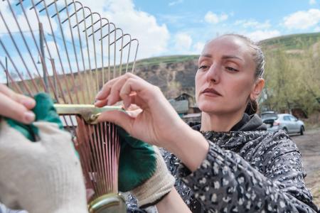 Пионерская аллея зацвела в Красноярске