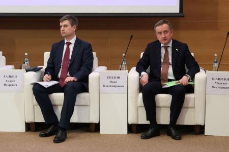 Н.А. Останина. Об итогах круглого стола «Экономика детства: драйвер демографии и роста»
