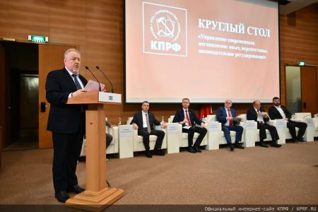 Управление современным мегаполисом: в Госдуме обсудили стратегию развития городов-миллионников и защиту прав граждан
