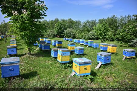 Под знаком пчелы — с Геннадием Зюгановым: экология, мёд и продовольственная безопасность