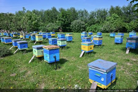 Под знаком пчелы — с Геннадием Зюгановым: экология, мёд и продовольственная безопасность