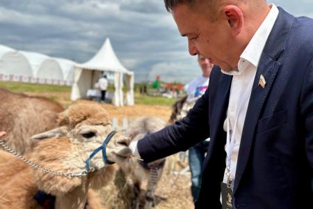 Сенатор А. Гибатдинов принял участие в фестивале «Сабантуй дружбы и единства»