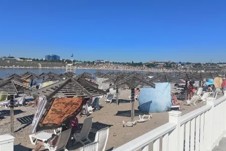 Соль-илецкий парадокс: почему российские арбузы проигрывают импорту из-за цен на топливо