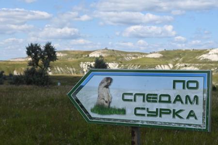 Ульяновская область. Тимуровцы и дети участников СВО провели день в Сенгилеевских горах