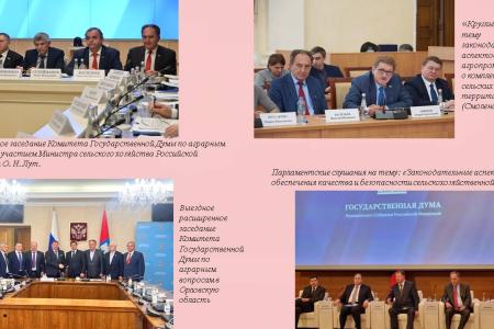 Отчёт депутата Госдумы VIII созыва Н.И. Васильева