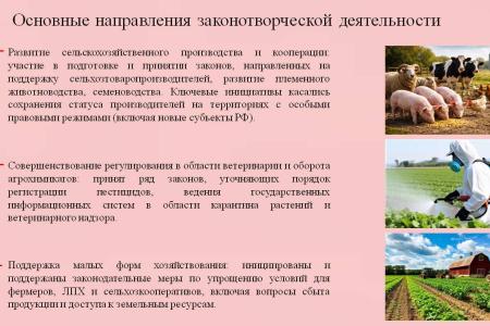 Отчёт депутата Госдумы VIII созыва Н.И. Васильева