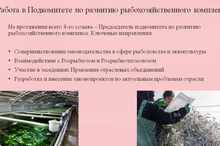 Отчёт депутата Госдумы VIII созыва Н.И. Васильева