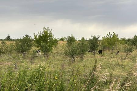 Айрат Гибатдинов посетил сельские районы Ульяновской области