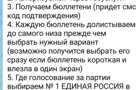 С массовых нарушений при голосовании в ДЭГ начались выборы в Алтайском крае