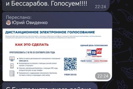С массовых нарушений при голосовании в ДЭГ начались выборы в Алтайском крае