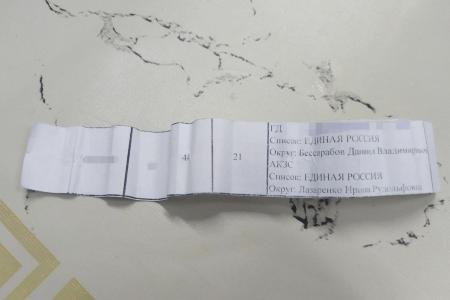 С массовых нарушений при голосовании в ДЭГ начались выборы в Алтайском крае